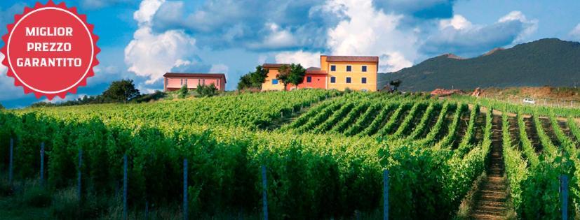 Tenuta Grimaldi Wine Resort Matelica Exterior foto